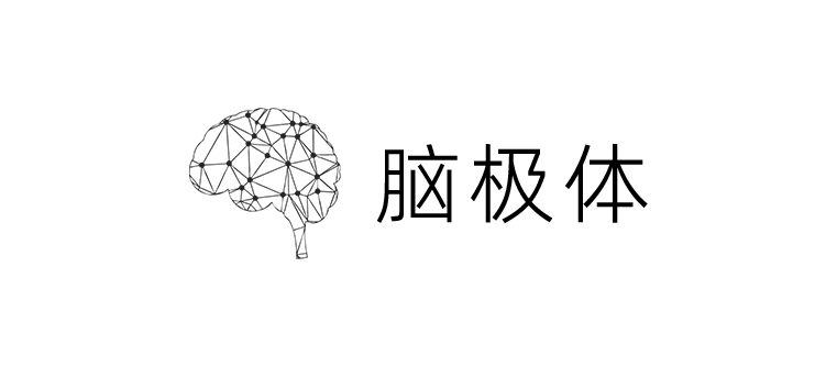 脑极体